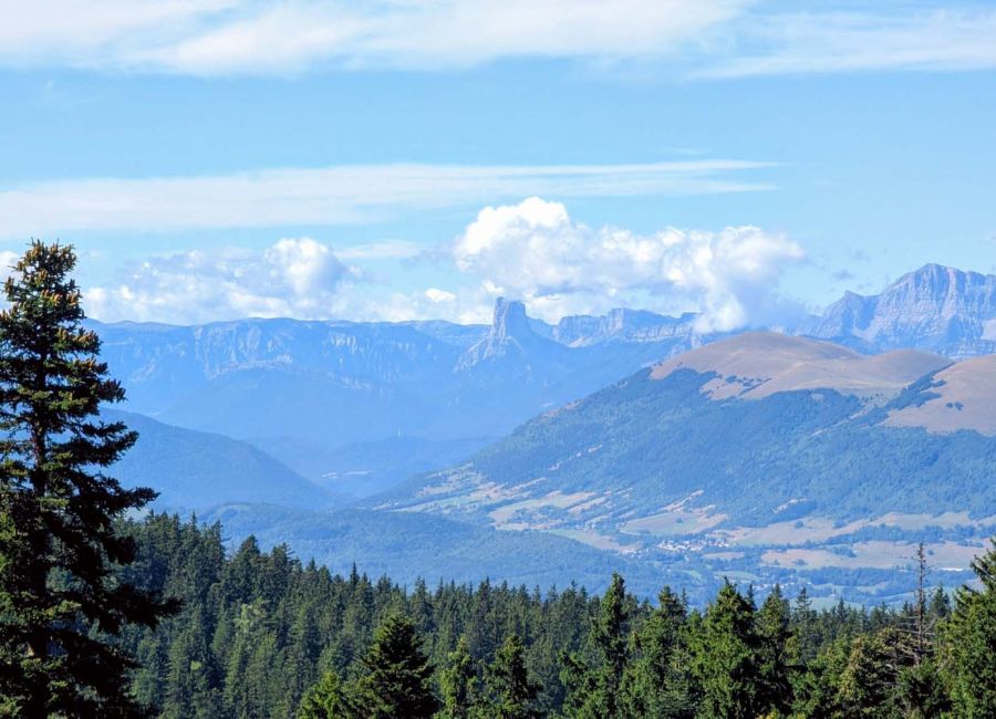 Vue appartements ete_002.jpg