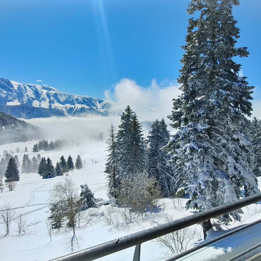 Vue appartements hiver_002.jpg