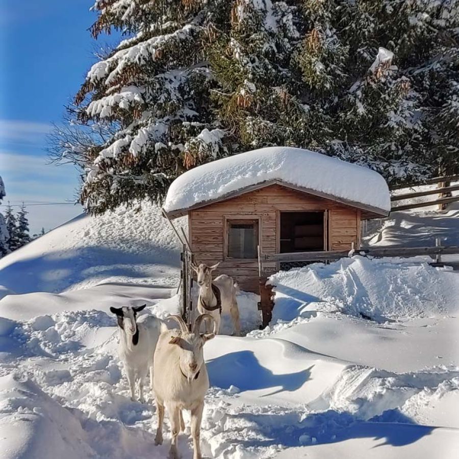 Exterieur hiver_residence 11.jpg