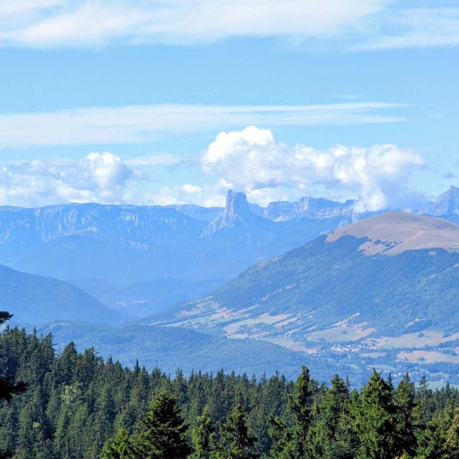 Vue appartements ete_002.jpg