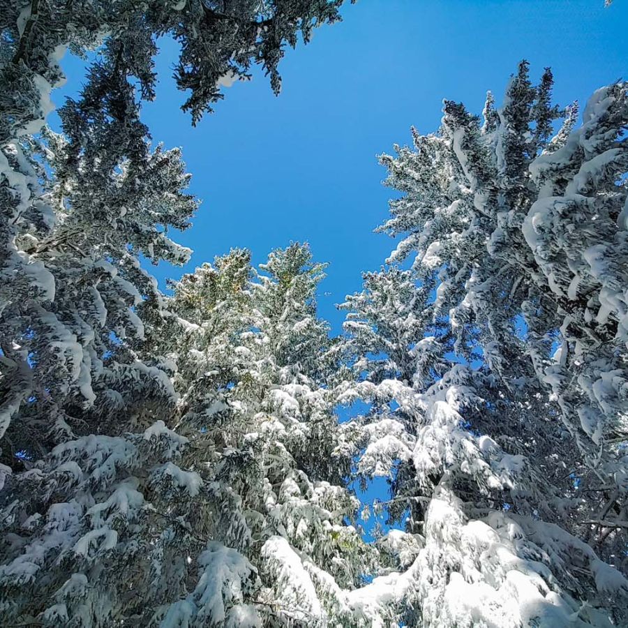 Exterieur_residence 16.jpg