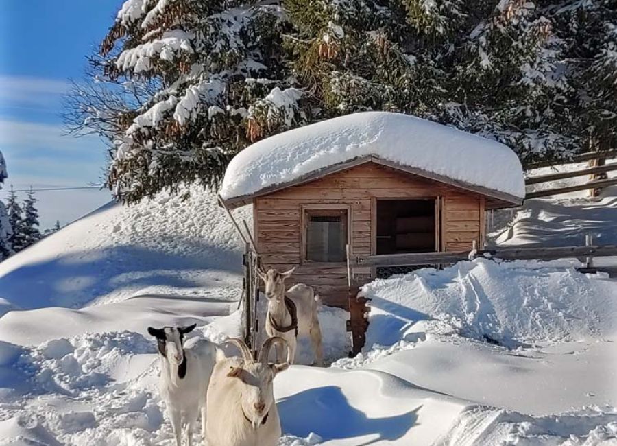 Exterieur hiver_residence 11.jpg