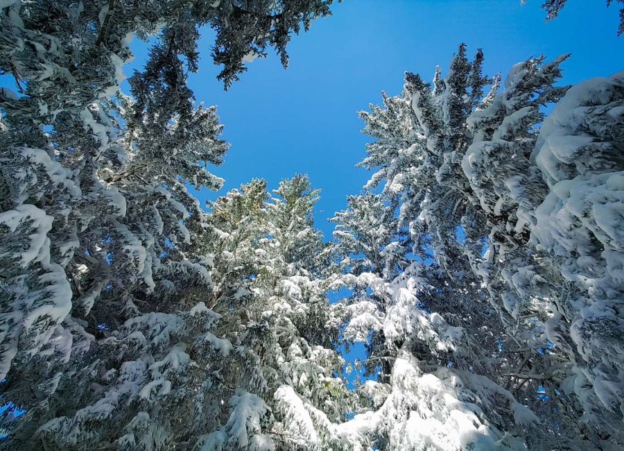 Exterieur_residence 16.jpg