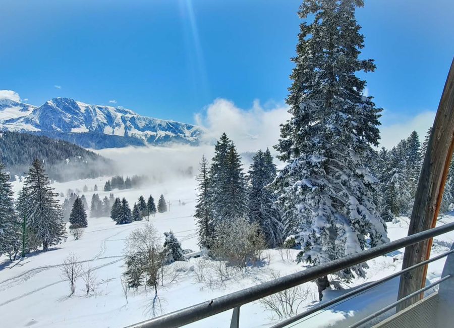 Vue appartements hiver_002.jpg